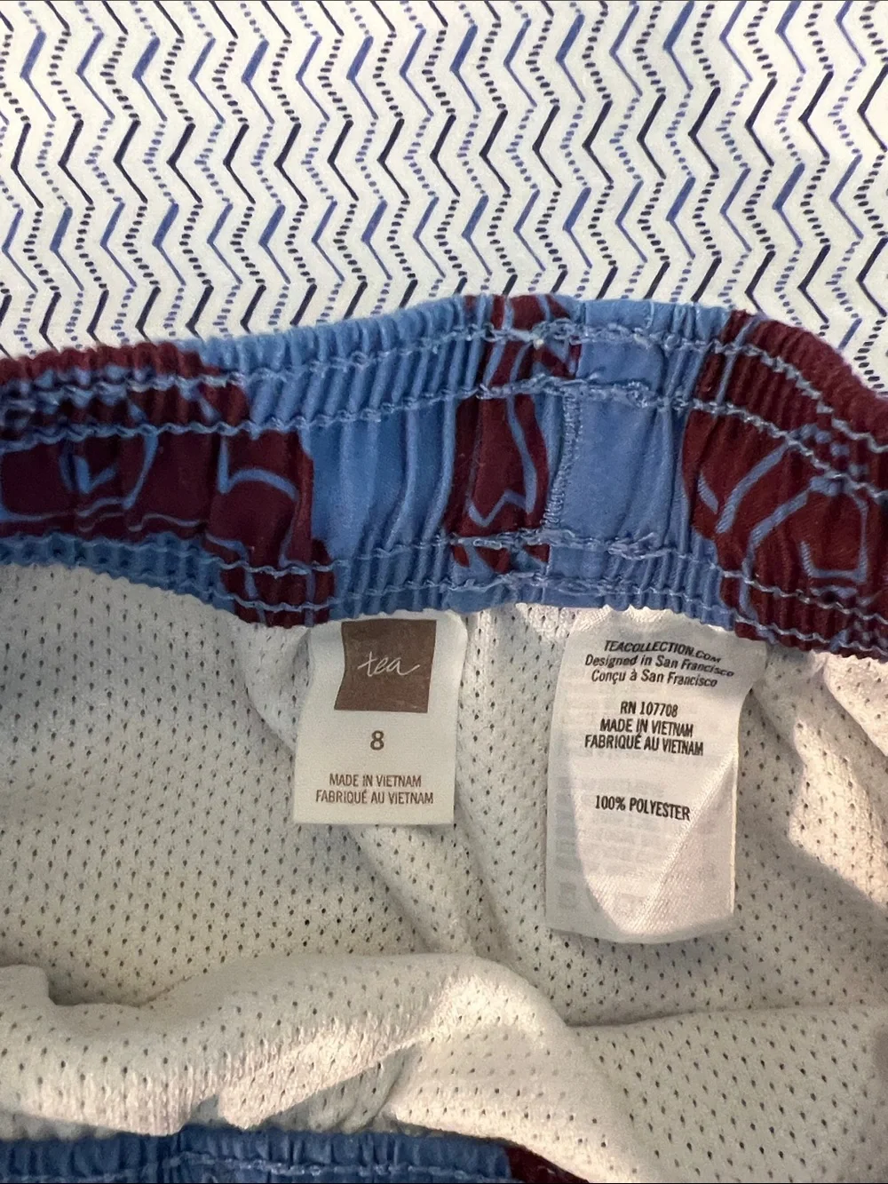 Tea Collection Blue and Maroon Dragon Swim Trunks